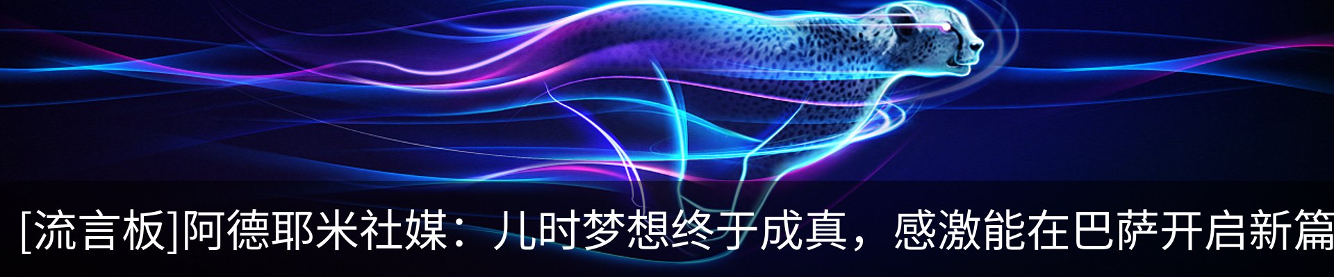 最新动态